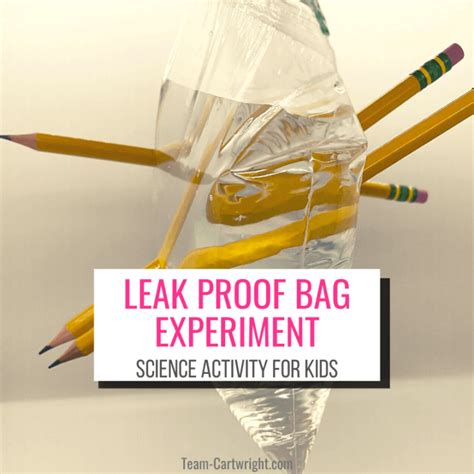 leak proof bag experiment|The leak proof bag: A kid